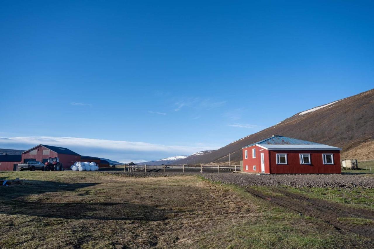 Sandhaugar Guesthouse Thingeyjarsveit Екстер'єр фото